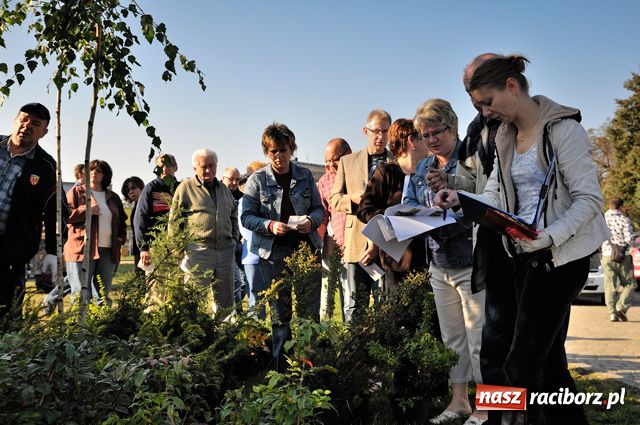 Zdjęcie w galerii na portalu naszraciborz.pl: Racibórz zalewają śmieci  wiadomości z regionu