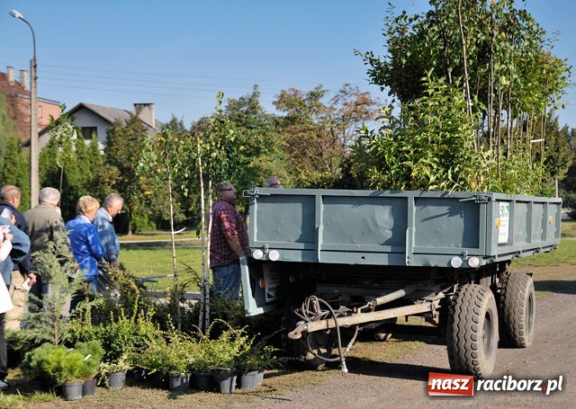 Zdjęcie w galerii na portalu naszraciborz.pl: Racibórz zalewają śmieci  wiadomości z regionu