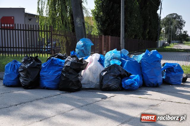Zdjęcie w galerii na portalu naszraciborz.pl: Racibórz zalewają śmieci  wiadomości z regionu