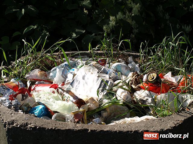 Zdjęcie w galerii na portalu naszraciborz.pl: Racibórz zalewają śmieci  wiadomości z regionu