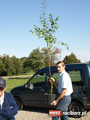 Zdjęcie w galerii na portalu naszraciborz.pl: Racibórz zalewają śmieci  wiadomości z regionu