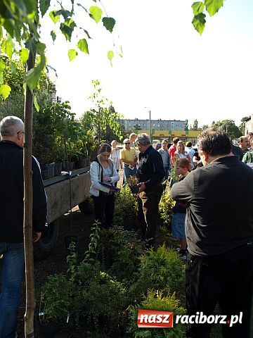 Zdjęcie w galerii na portalu naszraciborz.pl: Racibórz zalewają śmieci  wiadomości z regionu