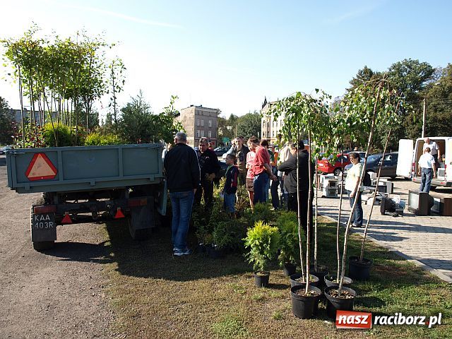 Zdjęcie w galerii na portalu naszraciborz.pl: Racibórz zalewają śmieci  wiadomości z regionu