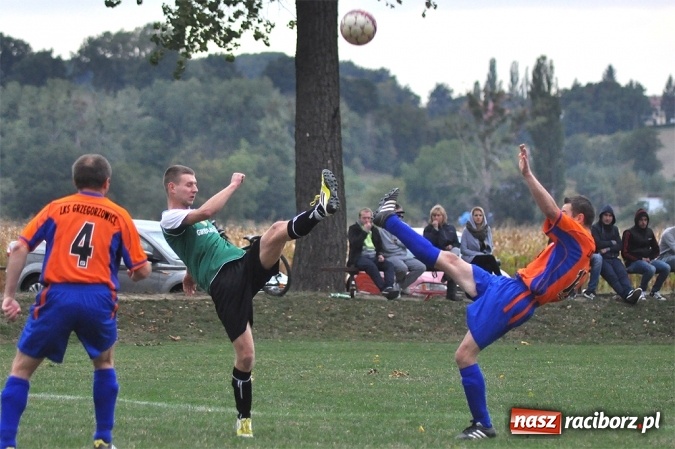 Zdjęcie w galerii na portalu naszraciborz.pl: Emocje w Grzegorzowicach. Trzy czerwone kartki i zwycięstwo Sparty wiadomości z regionu