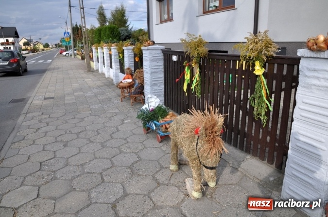 Zdjęcie w galerii na portalu naszraciborz.pl: Dożynki miejskie w Sudole - zobacz korowód na wideo wiadomości z regionu