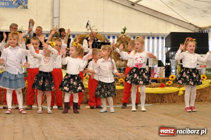 Zdjęcie w galerii na portalu naszraciborz.pl: Dożynki miejskie w Sudole - zobacz korowód na wideo wiadomości z regionu