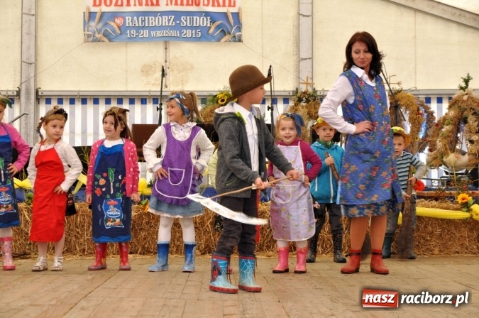 Zdjęcie w galerii na portalu naszraciborz.pl: Dożynki miejskie w Sudole - zobacz korowód na wideo wiadomości z regionu