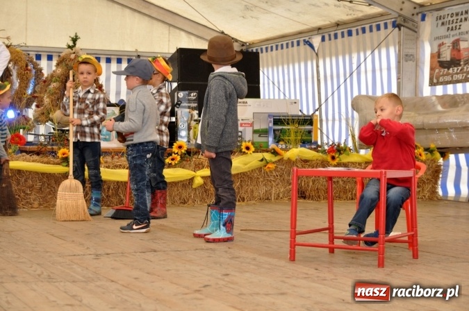 Zdjęcie w galerii na portalu naszraciborz.pl: Dożynki miejskie w Sudole - zobacz korowód na wideo wiadomości z regionu