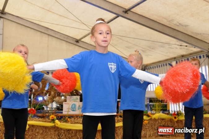 Zdjęcie w galerii na portalu naszraciborz.pl: Dożynki miejskie w Sudole - zobacz korowód na wideo wiadomości z regionu