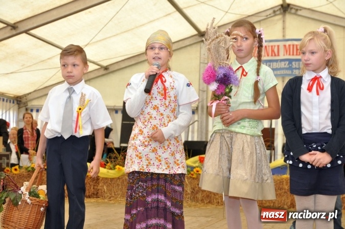 Zdjęcie w galerii na portalu naszraciborz.pl: Dożynki miejskie w Sudole - zobacz korowód na wideo wiadomości z regionu