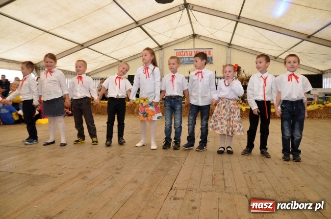 Zdjęcie w galerii na portalu naszraciborz.pl: Dożynki miejskie w Sudole - zobacz korowód na wideo wiadomości z regionu