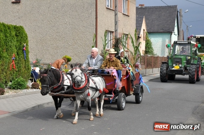 Zdjęcie w galerii na portalu naszraciborz.pl: Dożynki miejskie w Sudole - zobacz korowód na wideo wiadomości z regionu