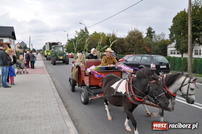 Zdjęcie w galerii na portalu naszraciborz.pl: Dożynki miejskie w Sudole - zobacz korowód na wideo wiadomości z regionu