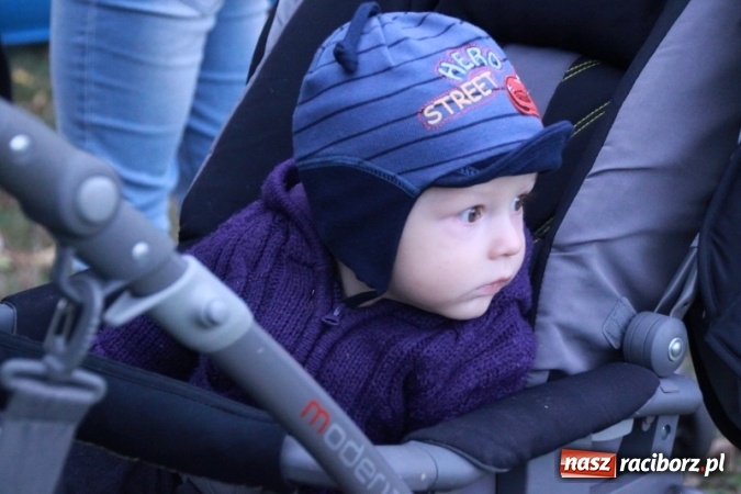 Zdjęcie w galerii na portalu naszraciborz.pl: Rewia, Miraż, zabawa, rozgrywki sportowe i podwójna tęcza, czyli atrakcje II Wielkiego Pikniku Rodzinnego w Wojnowicach wiadomości z regionu