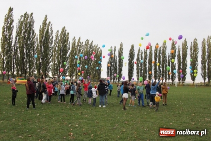 Zdjęcie w galerii na portalu naszraciborz.pl: Rewia, Miraż, zabawa, rozgrywki sportowe i podwójna tęcza, czyli atrakcje II Wielkiego Pikniku Rodzinnego w Wojnowicach wiadomości z regionu