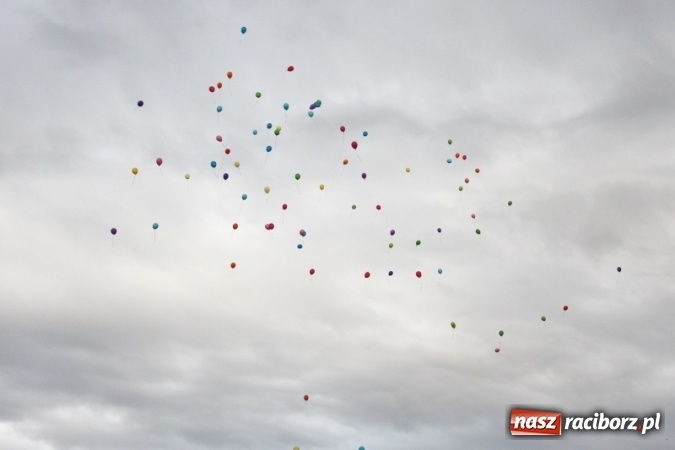 Zdjęcie w galerii na portalu naszraciborz.pl: Rewia, Miraż, zabawa, rozgrywki sportowe i podwójna tęcza, czyli atrakcje II Wielkiego Pikniku Rodzinnego w Wojnowicach wiadomości z regionu