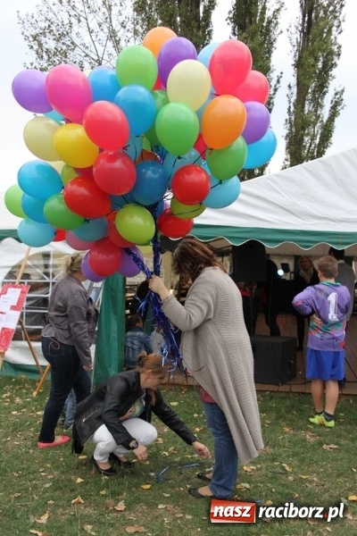 Zdjęcie w galerii na portalu naszraciborz.pl: Rewia, Miraż, zabawa, rozgrywki sportowe i podwójna tęcza, czyli atrakcje II Wielkiego Pikniku Rodzinnego w Wojnowicach wiadomości z regionu