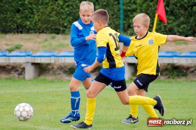 Zdjęcie w galerii na portalu naszraciborz.pl: Orliki: Spóźniona Stal lepsza od Markowic. Cztery gole Romana Podolca wiadomości z regionu