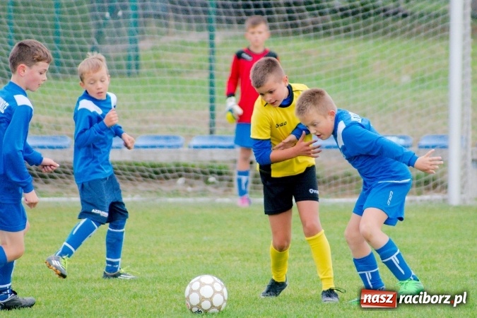 Zdjęcie w galerii na portalu naszraciborz.pl: Orliki: Spóźniona Stal lepsza od Markowic. Cztery gole Romana Podolca wiadomości z regionu