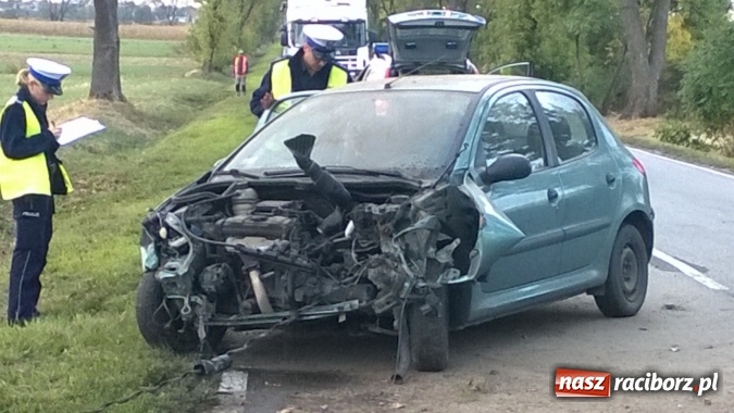 Zdjęcie w galerii na portalu naszraciborz.pl: Wypadek na drodze Racibórz-Lubomia! wiadomości z regionu
