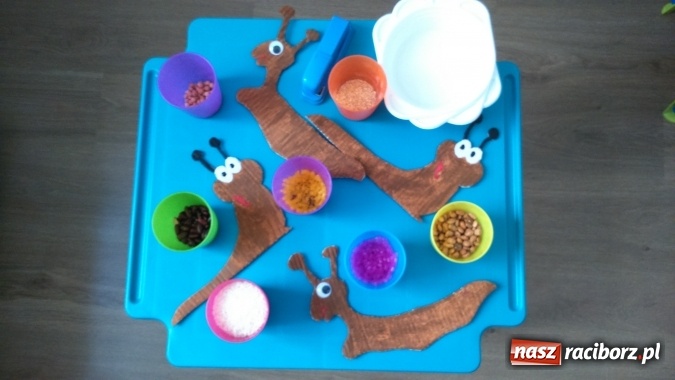 Zdjęcie w galerii na portalu naszraciborz.pl: Baw się ze swoją pociechą i zadbaj o jej rozw&oacute;j z Edu Kids! wiadomości z regionu