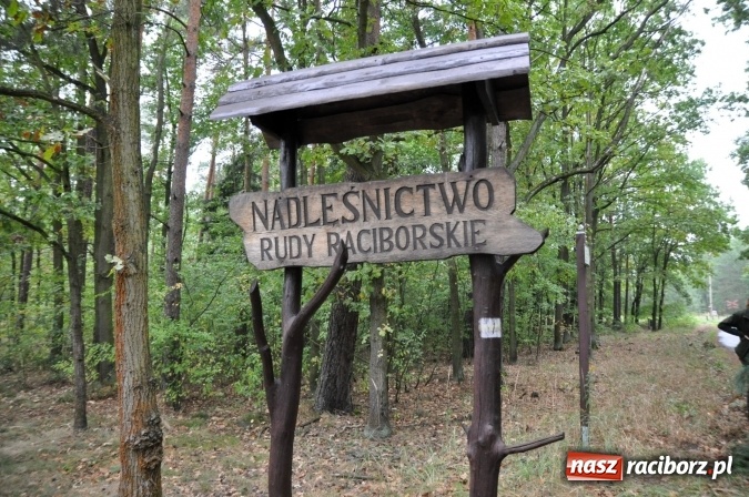 Zdjęcie w galerii na portalu naszraciborz.pl: Wolność jest w naturze - otwarcie szlaku rowerowego Nadleśnictwa Rudy Raciborskie wiadomości z regionu