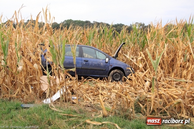 Zdjęcie w galerii na portalu naszraciborz.pl: Renault wypadło z drogi za Rudnikiem wiadomości z regionu