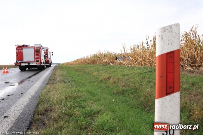 Zdjęcie w galerii na portalu naszraciborz.pl: Renault wypadło z drogi za Rudnikiem wiadomości z regionu