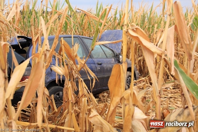 Zdjęcie w galerii na portalu naszraciborz.pl: Renault wypadło z drogi za Rudnikiem wiadomości z regionu