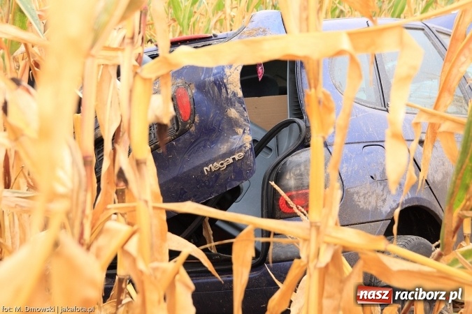 Zdjęcie w galerii na portalu naszraciborz.pl: Renault wypadło z drogi za Rudnikiem wiadomości z regionu