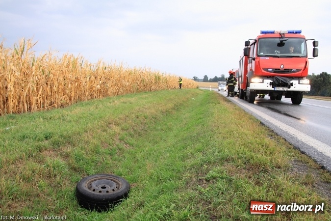 Zdjęcie w galerii na portalu naszraciborz.pl: Renault wypadło z drogi za Rudnikiem wiadomości z regionu