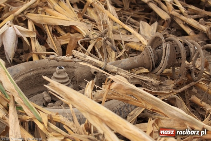 Zdjęcie w galerii na portalu naszraciborz.pl: Renault wypadło z drogi za Rudnikiem wiadomości z regionu