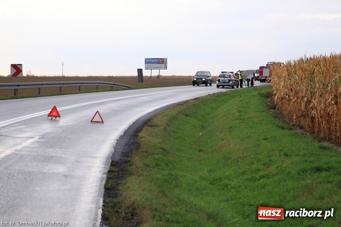 Zdjęcie w galerii na portalu naszraciborz.pl: Renault wypadło z drogi za Rudnikiem wiadomości z regionu