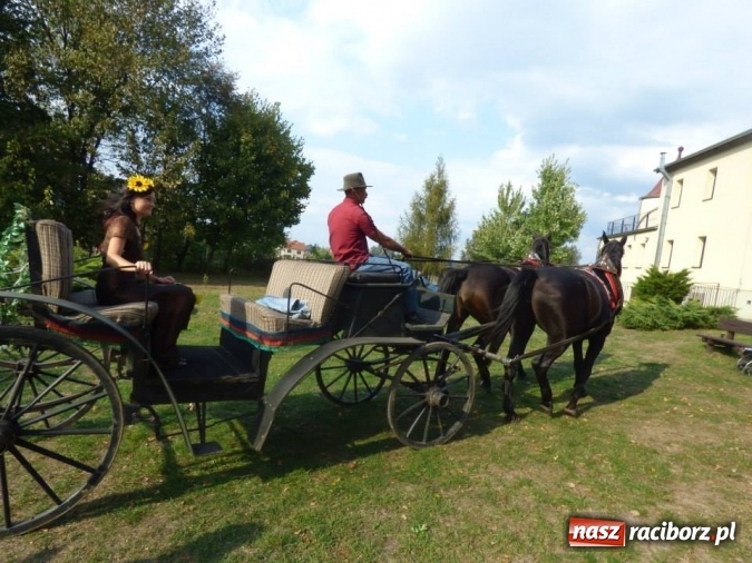 Zdjęcie w galerii na portalu naszraciborz.pl: W Przedszkolu w Nędzy wybrali Króla i Królową ziemniaka  wiadomości z regionu