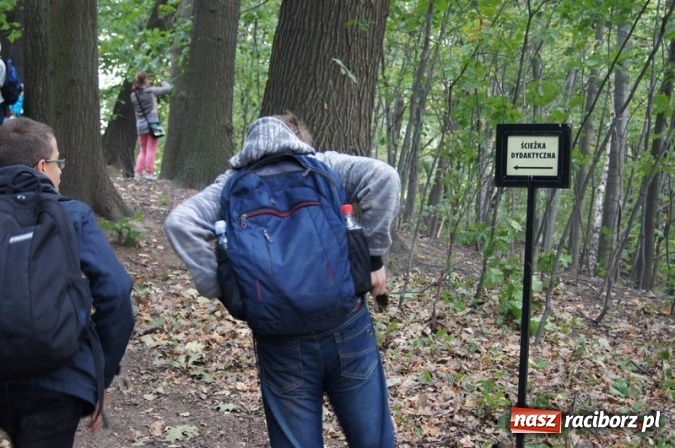 Zdjęcie w galerii na portalu naszraciborz.pl: Ekowycieczka uczniów raciborskiej Szkoły Podstawowej nr 4  wiadomości z regionu