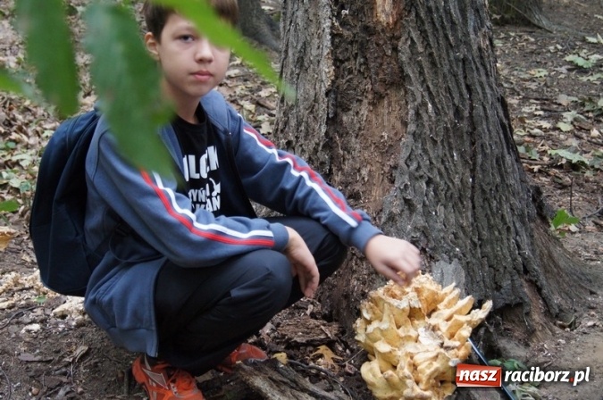 Zdjęcie w galerii na portalu naszraciborz.pl: Ekowycieczka uczniów raciborskiej Szkoły Podstawowej nr 4  wiadomości z regionu