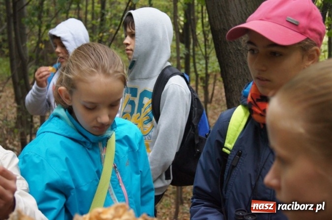 Zdjęcie w galerii na portalu naszraciborz.pl: Ekowycieczka uczniów raciborskiej Szkoły Podstawowej nr 4  wiadomości z regionu
