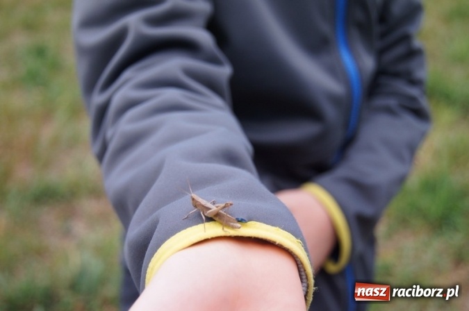 Zdjęcie w galerii na portalu naszraciborz.pl: Ekowycieczka uczniów raciborskiej Szkoły Podstawowej nr 4  wiadomości z regionu
