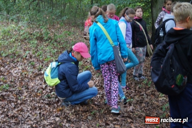 Zdjęcie w galerii na portalu naszraciborz.pl: Ekowycieczka uczniów raciborskiej Szkoły Podstawowej nr 4  wiadomości z regionu