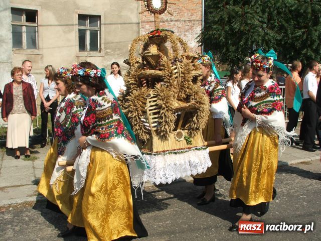 Zdjęcie w galerii na portalu naszraciborz.pl: Plony wysokie, ceny niskie wiadomości z regionu