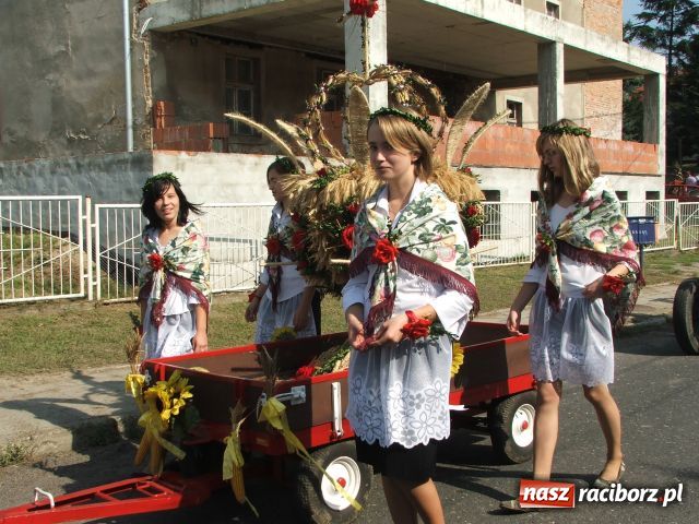 Zdjęcie w galerii na portalu naszraciborz.pl: Plony wysokie, ceny niskie wiadomości z regionu