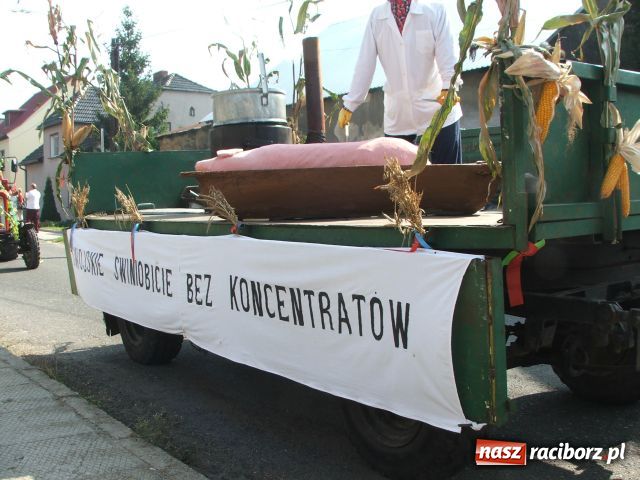 Zdjęcie w galerii na portalu naszraciborz.pl: Plony wysokie, ceny niskie wiadomości z regionu