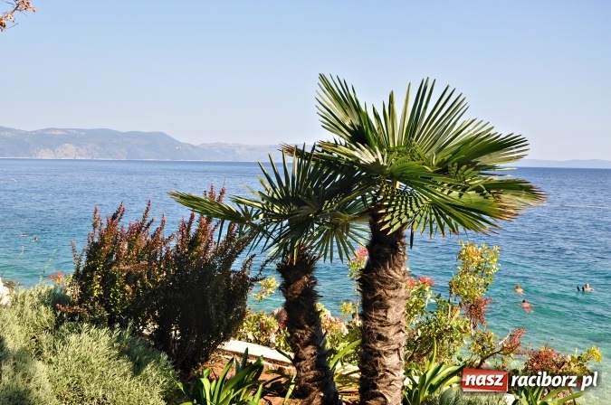 Zdjęcie w galerii na portalu naszraciborz.pl: Pożegnanie lata w Chorwacji wiadomości z regionu
