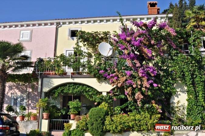 Zdjęcie w galerii na portalu naszraciborz.pl: Pożegnanie lata w Chorwacji wiadomości z regionu