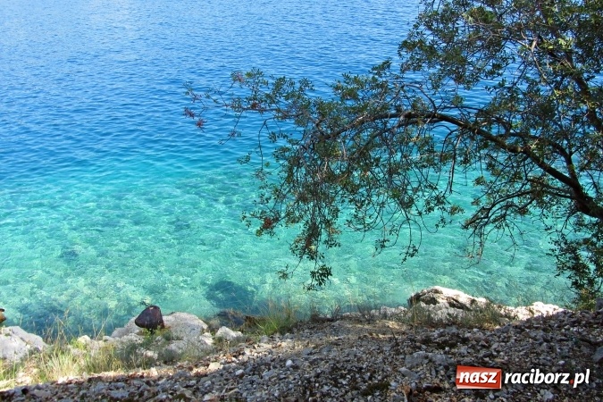Zdjęcie w galerii na portalu naszraciborz.pl: Pożegnanie lata w Chorwacji wiadomości z regionu