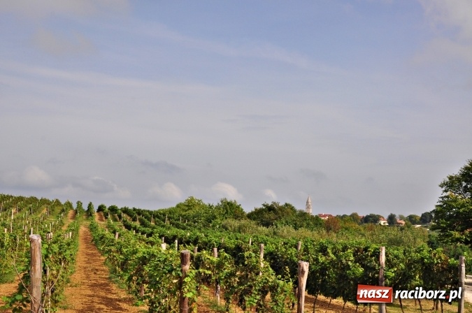 Zdjęcie w galerii na portalu naszraciborz.pl: Pożegnanie lata w Chorwacji wiadomości z regionu