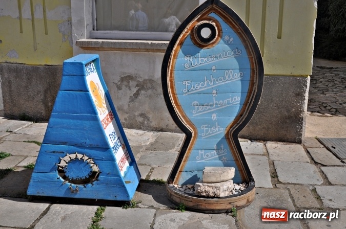 Zdjęcie w galerii na portalu naszraciborz.pl: Pożegnanie lata w Chorwacji wiadomości z regionu