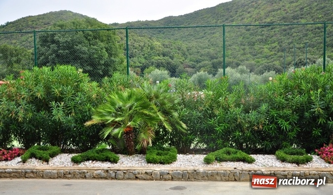 Zdjęcie w galerii na portalu naszraciborz.pl: Pożegnanie lata w Chorwacji wiadomości z regionu