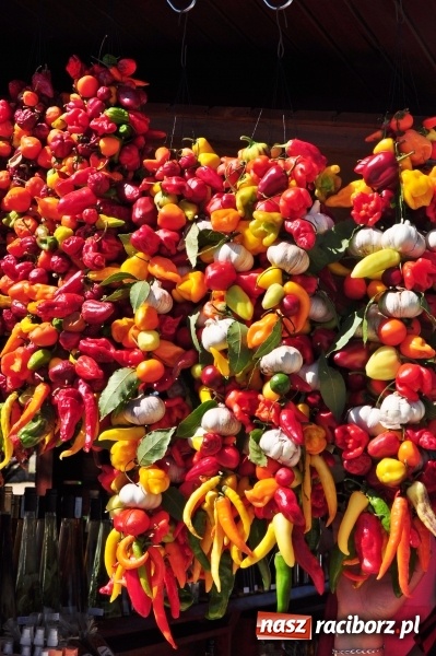 Zdjęcie w galerii na portalu naszraciborz.pl: Pożegnanie lata w Chorwacji wiadomości z regionu