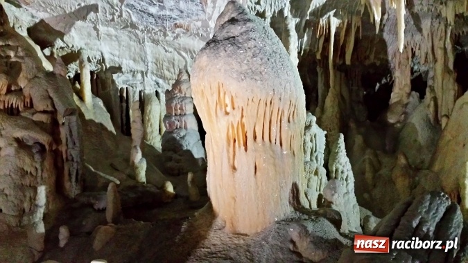 Zdjęcie w galerii na portalu naszraciborz.pl: Pożegnanie lata w Chorwacji wiadomości z regionu